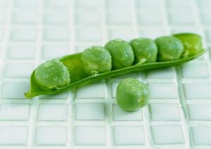 シェイクシャック 大丸心斎橋店: 大阪の新たなグルメスポット